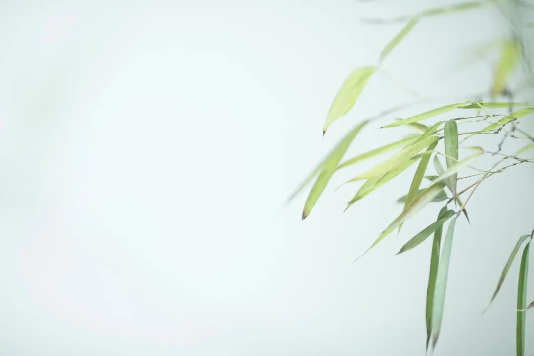 惊艳了时光优美句子名人（享受岁月美好时光的古诗）