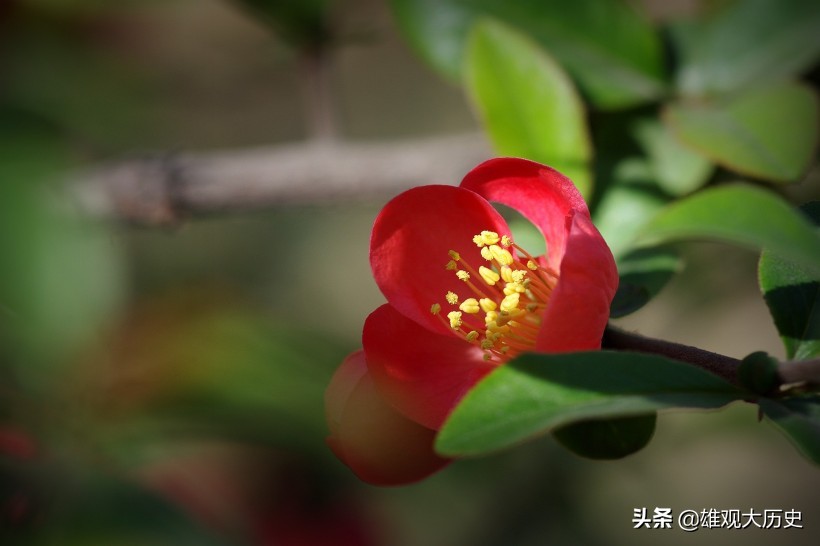 描写春天的诗歌短一点简单（关于春天的古诗大全）