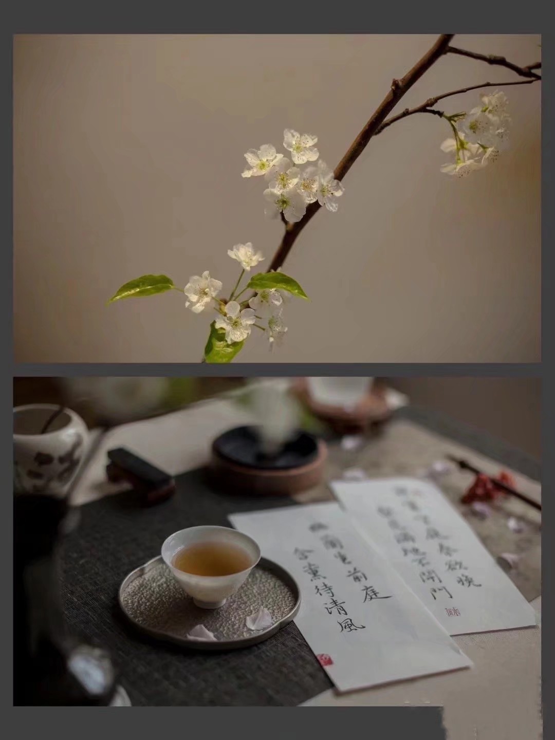 春天的散文简短优美（描写春天的优美散文诗）