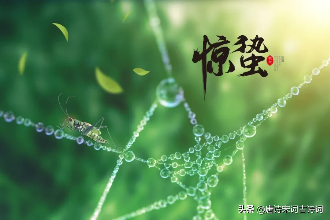 描写惊蛰节气的古诗（关于惊蛰的诗词唯美）