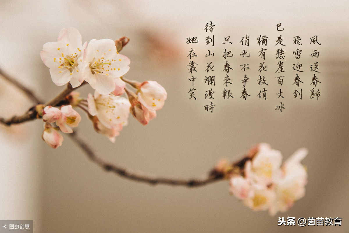 三年级下册古诗有哪些诗（三年级古诗大全）
