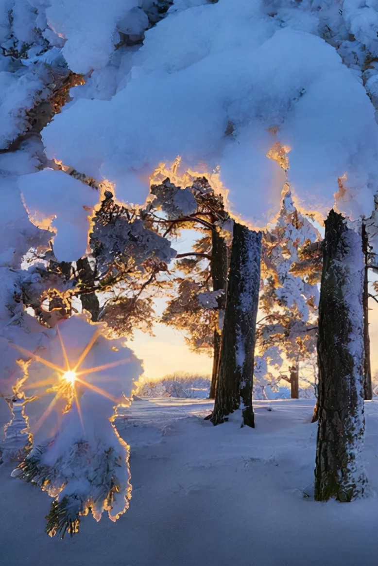 描写雪景的诗句古诗（形容春雪的优美句子）