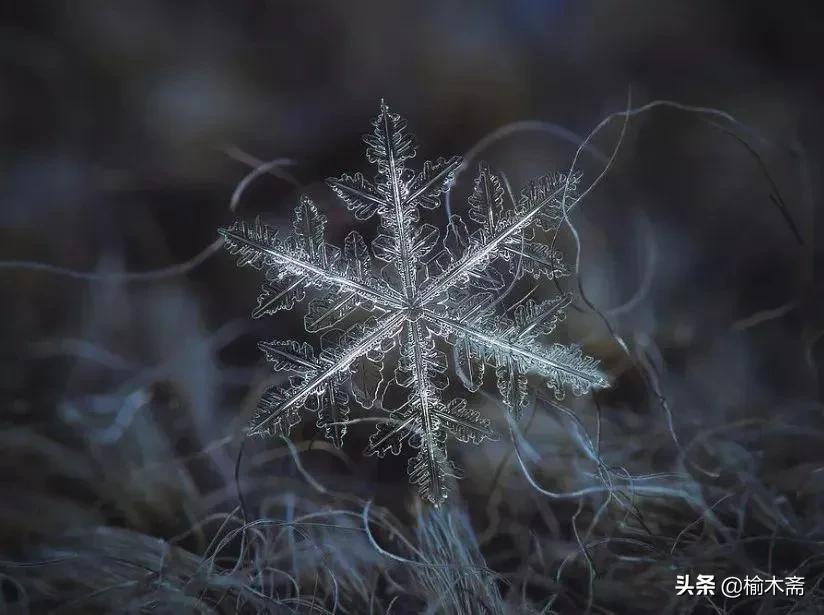 古诗雪罗隐的意思（古诗雪原文及解释）
