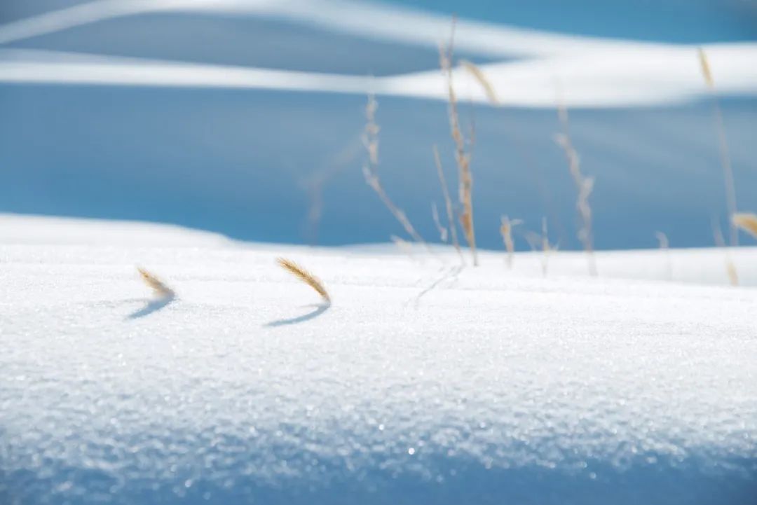 关于雪的诗词名句（描写雪的诗句古诗大全）