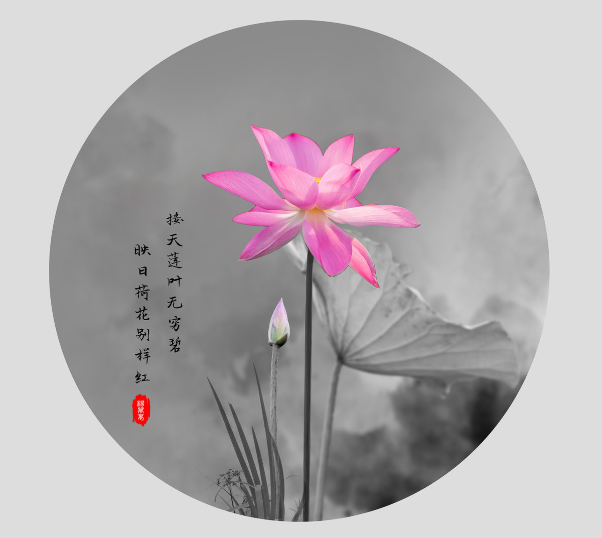 犹恐相逢是梦中全诗（美到窒息的古典诗句）