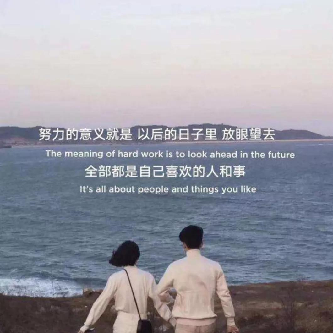 关于感情的文章（情感生活的文章）