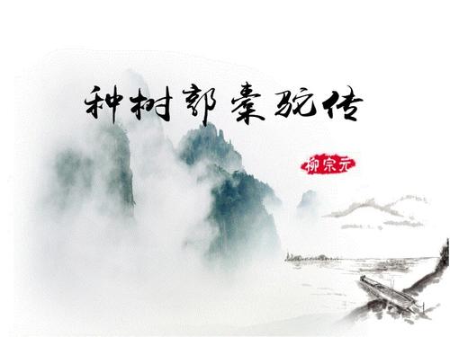 种树郭橐驼传翻译注释（原文内容及全文翻译）