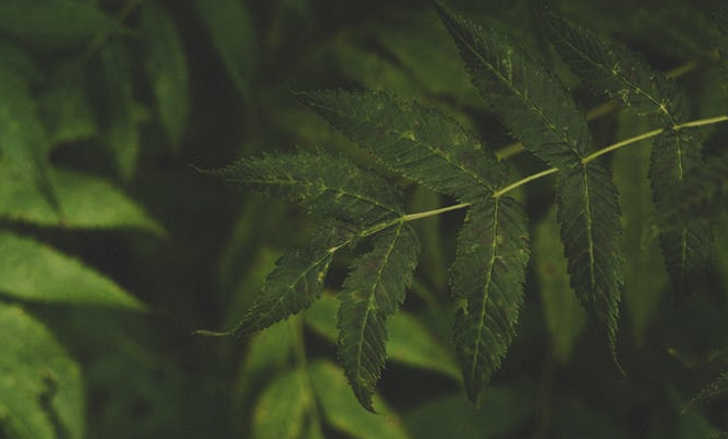 友谊已破碎的句子（暗示友谊破裂的句子）