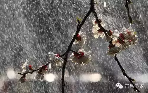 腊八诗句经典古诗（腊八粥的美好寓意）