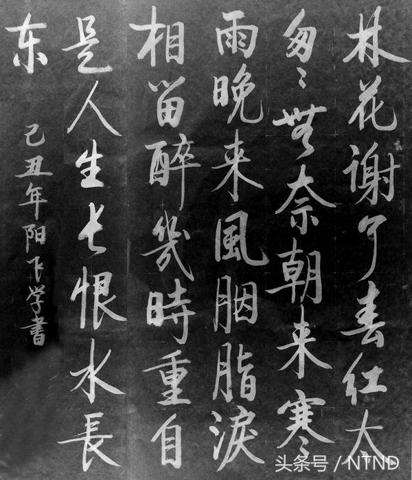 乌夜啼林花谢了春红（乌夜啼李煜翻译赏析）