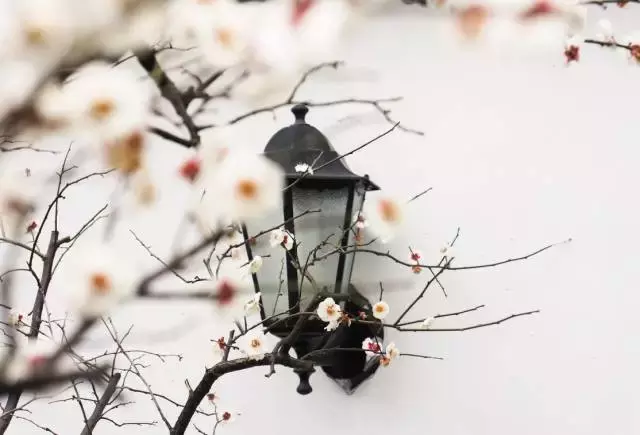 腊八节的诗句有哪些（关于腊八节的诗歌诗句）