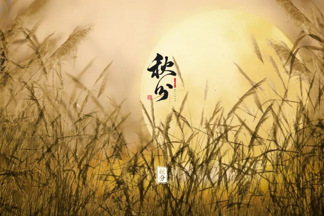 有关秋分的诗句（秋分的诗句唯美的诗句）