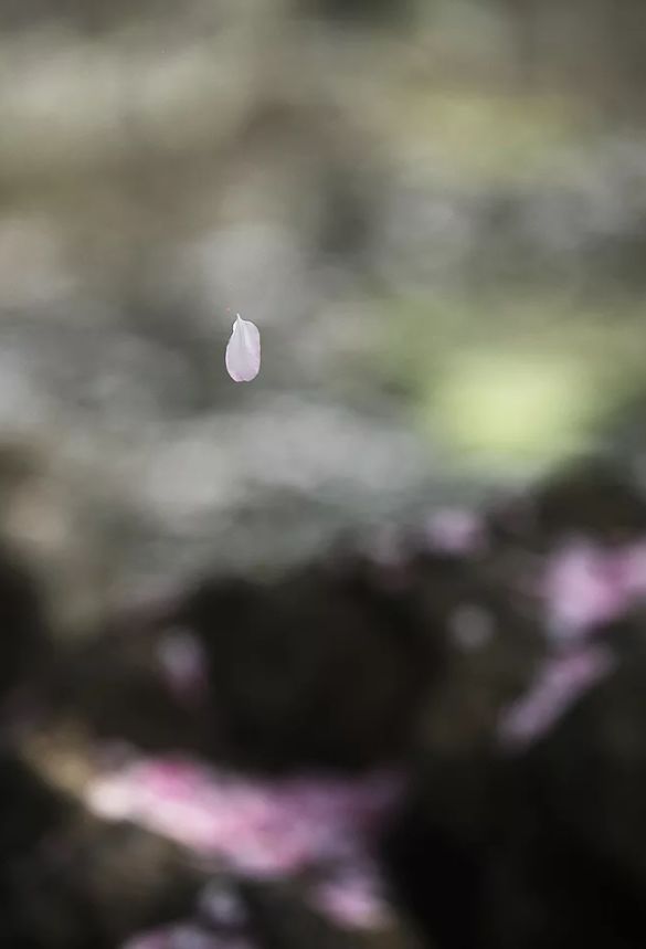 相思情诗大全（能打动女人的诗词）