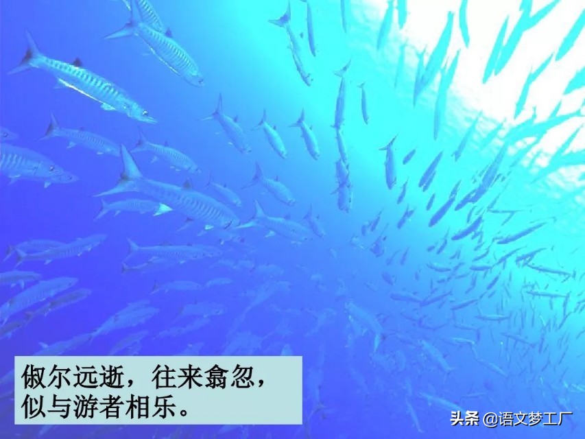 小石潭记表达了作者怎样的感情的句子（小石潭记全文解析）