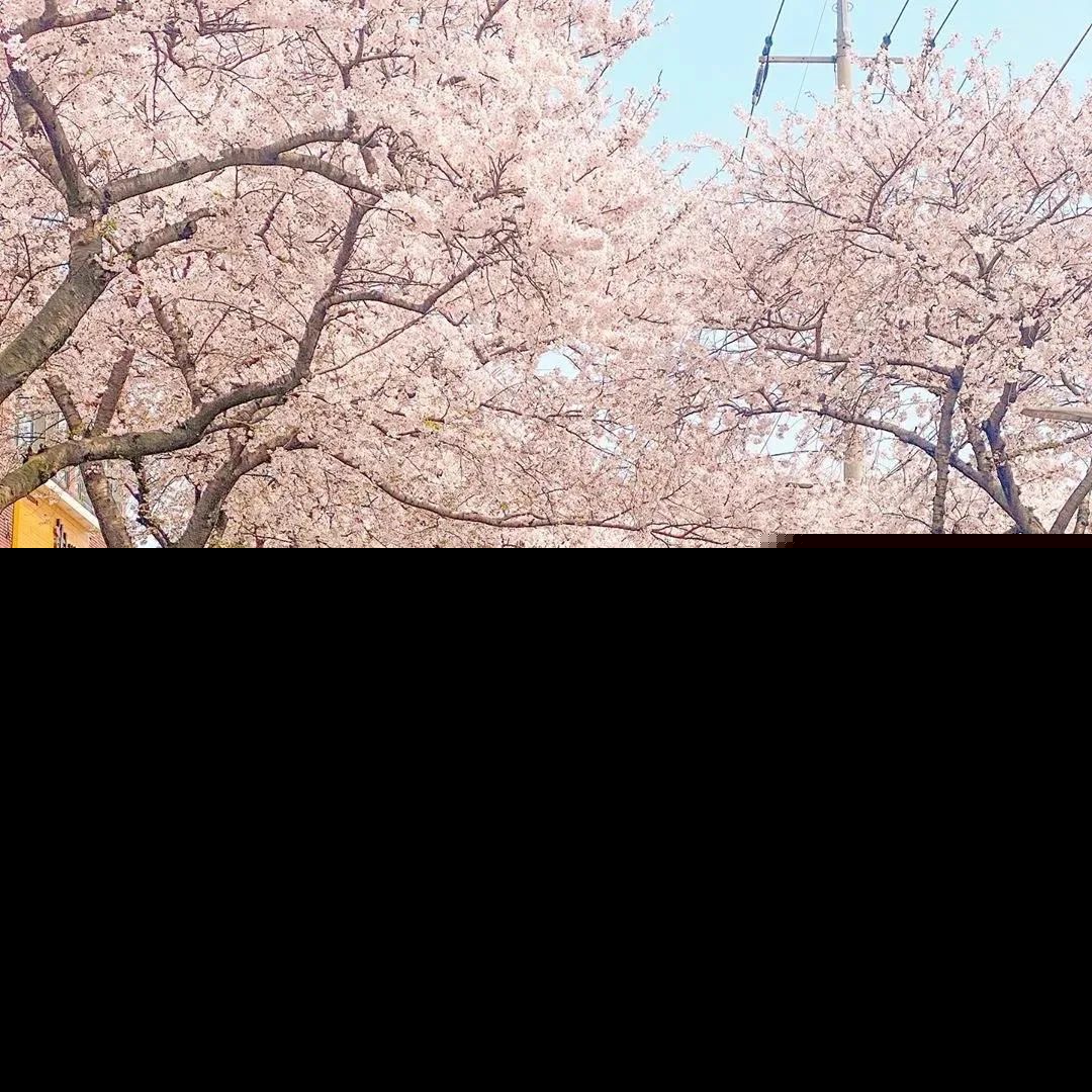 春天新的开始的句子唯美（春天来了唯美哲理句子）