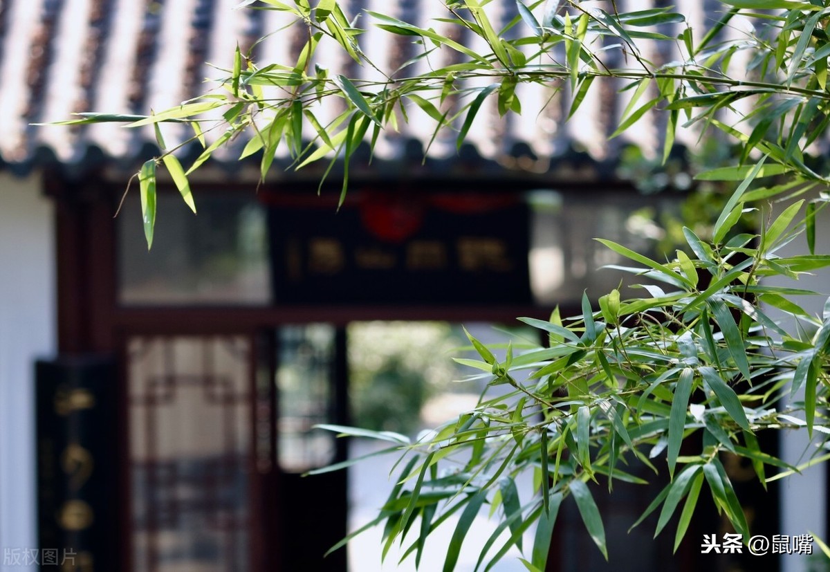清平乐村居诗意解释（古诗清平乐村居全诗）
