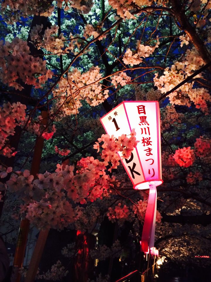 开头优美句子摘抄（唯美惊艳的开头结尾）