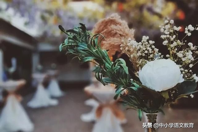 核舟记翻译最简短（核舟记翻译文言文）