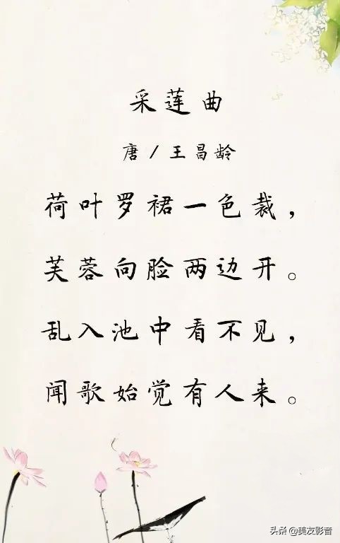 采莲曲古诗意思（王昌龄的采莲曲的诗意）