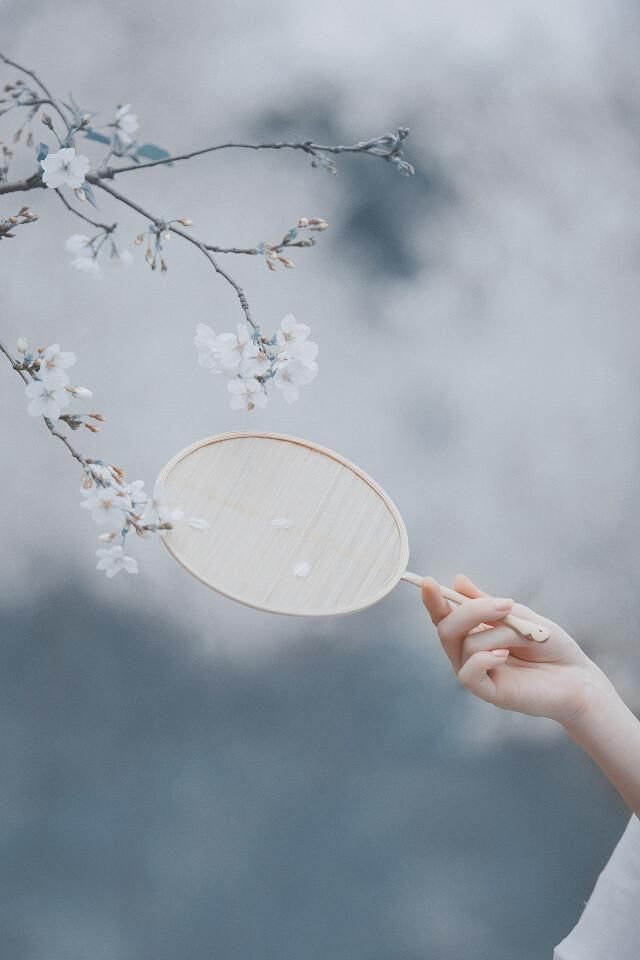 爱情诗句经典语录（有深度表达爱意的句子）