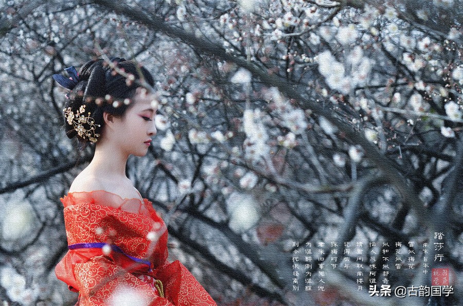 踏莎行晏殊翻译和赏析（踏莎行的意思）