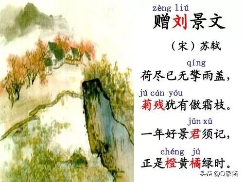 小学描写冬天的诗句（盘点小学必背冬天诗句）