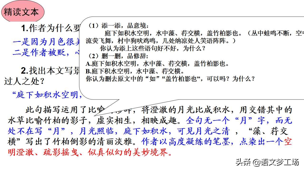 记承天寺夜游译文及注释（原文赏析及翻译）