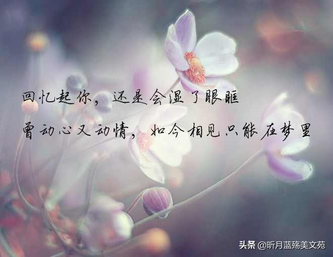 默默牵挂一个人的说说图片（夜深想念人的短句）