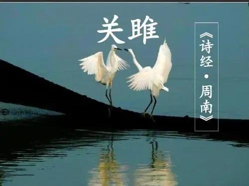 在河之洲窈窕淑女（古诗关关雎鸠在河之洲）