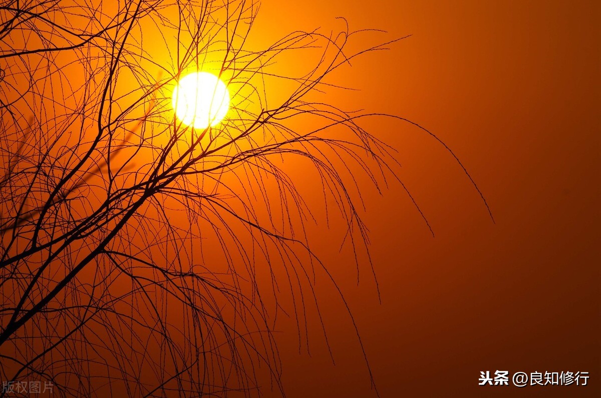 点绛唇元好问赏析（点绛唇的意思是什么）