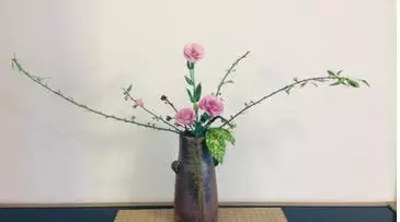 关于勤学的古诗（勤奋励志的古诗）