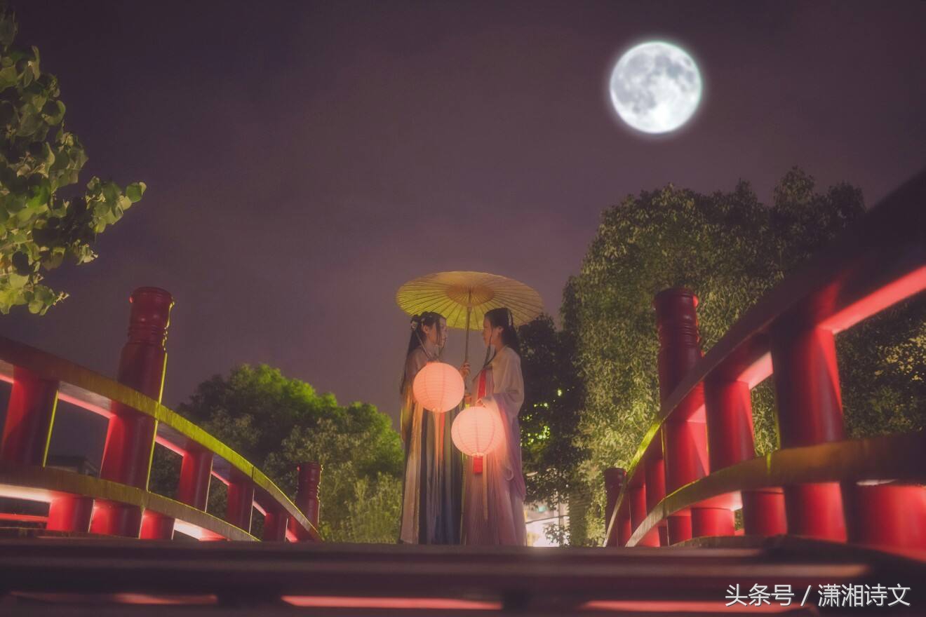 关于情人节词语和句子（情人节名言名句情话）