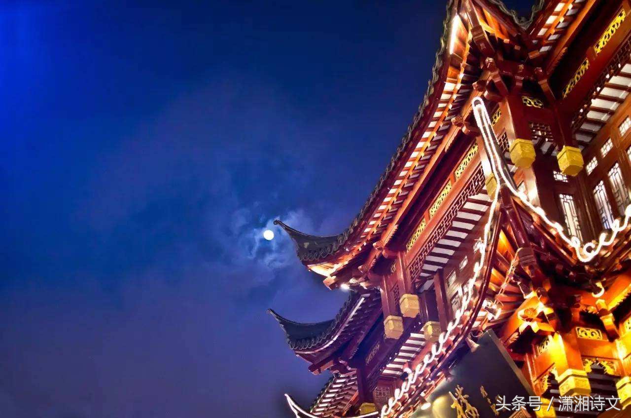 关于情人节词语和句子（情人节名言名句情话）