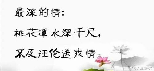 关于情人节词语和句子（情人节名言名句情话）