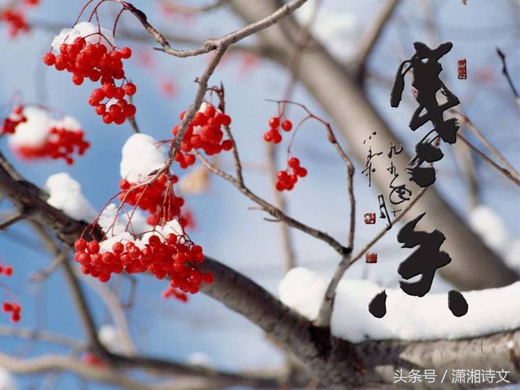 关于情人节词语和句子（情人节名言名句情话）