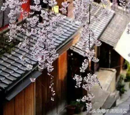 关于情人节词语和句子（情人节名言名句情话）