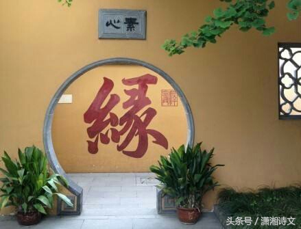 关于情人节词语和句子（情人节名言名句情话）