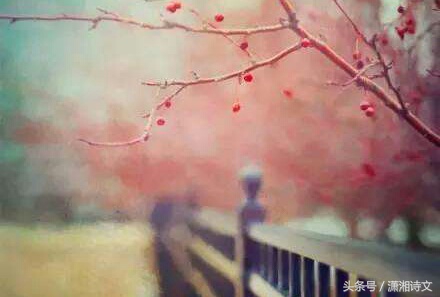 关于情人节词语和句子（情人节名言名句情话）