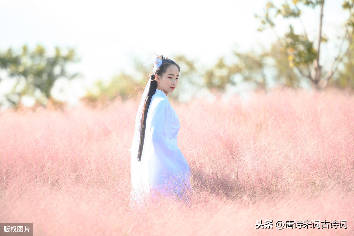 形容夫妻恩爱的成语（形容夫妻恩爱的诗句古诗词）