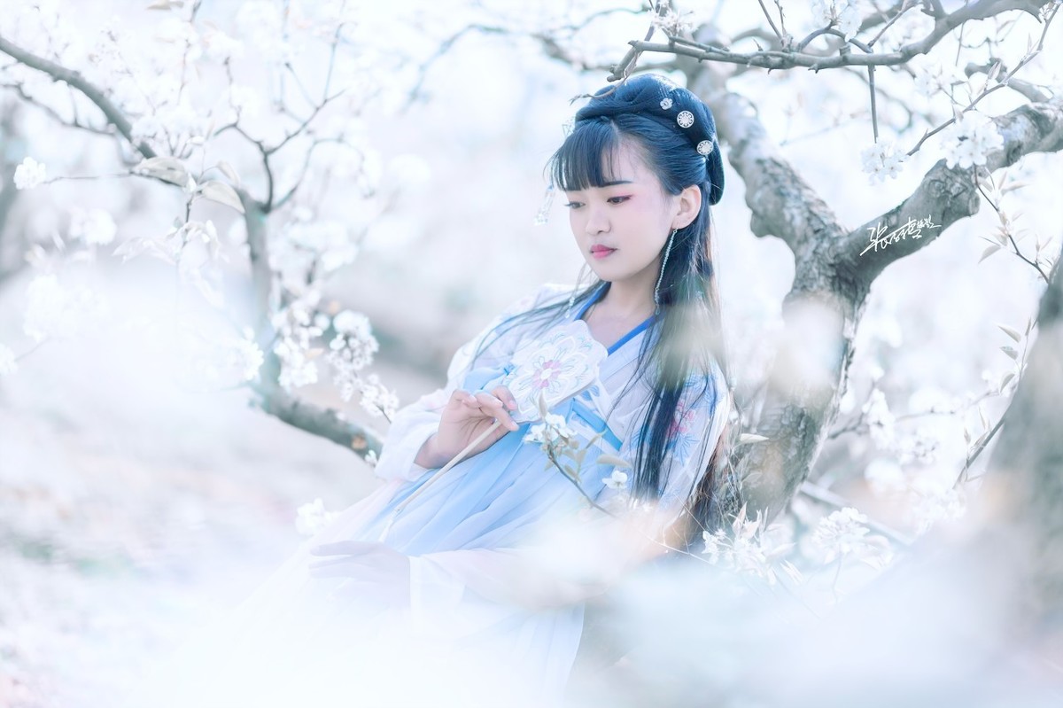 春思李白古诗赏析（春思全文的意思）