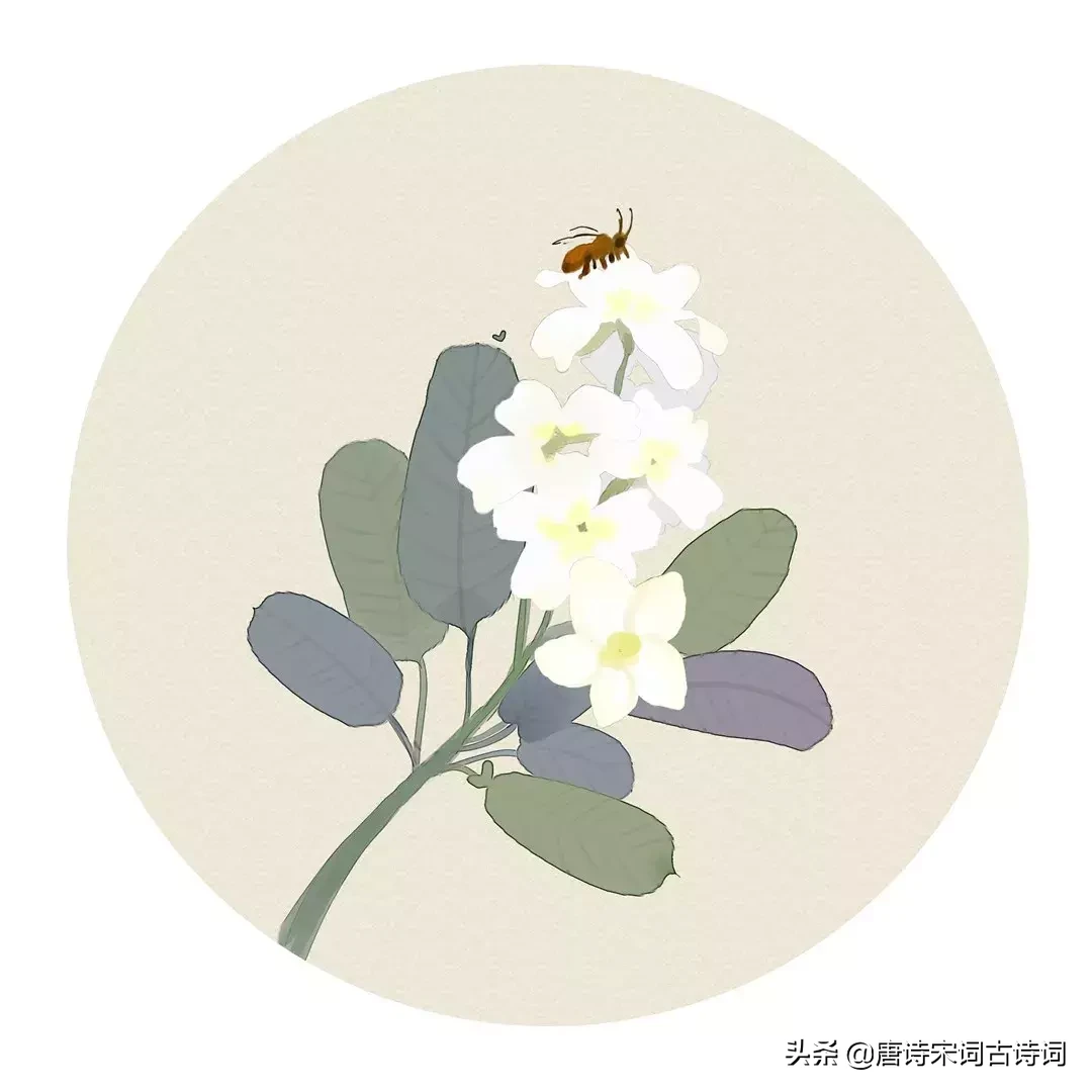 夏天的古诗有哪些（描写赞美夏天的古诗 ）