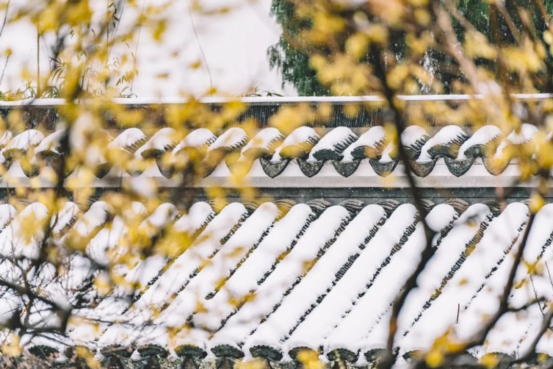 雪景的描写优美句子（雪景的描写优美句子）