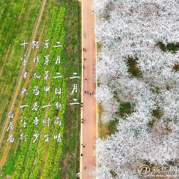 关于二月二龙抬头的古诗（有关龙抬头的诗句古诗）