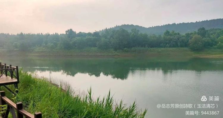 短小意境优美的现代诗（美到心碎的现代诗）