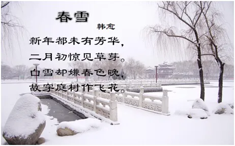 春雪韩愈赏析及解释（春雪原文内容及译文分享）