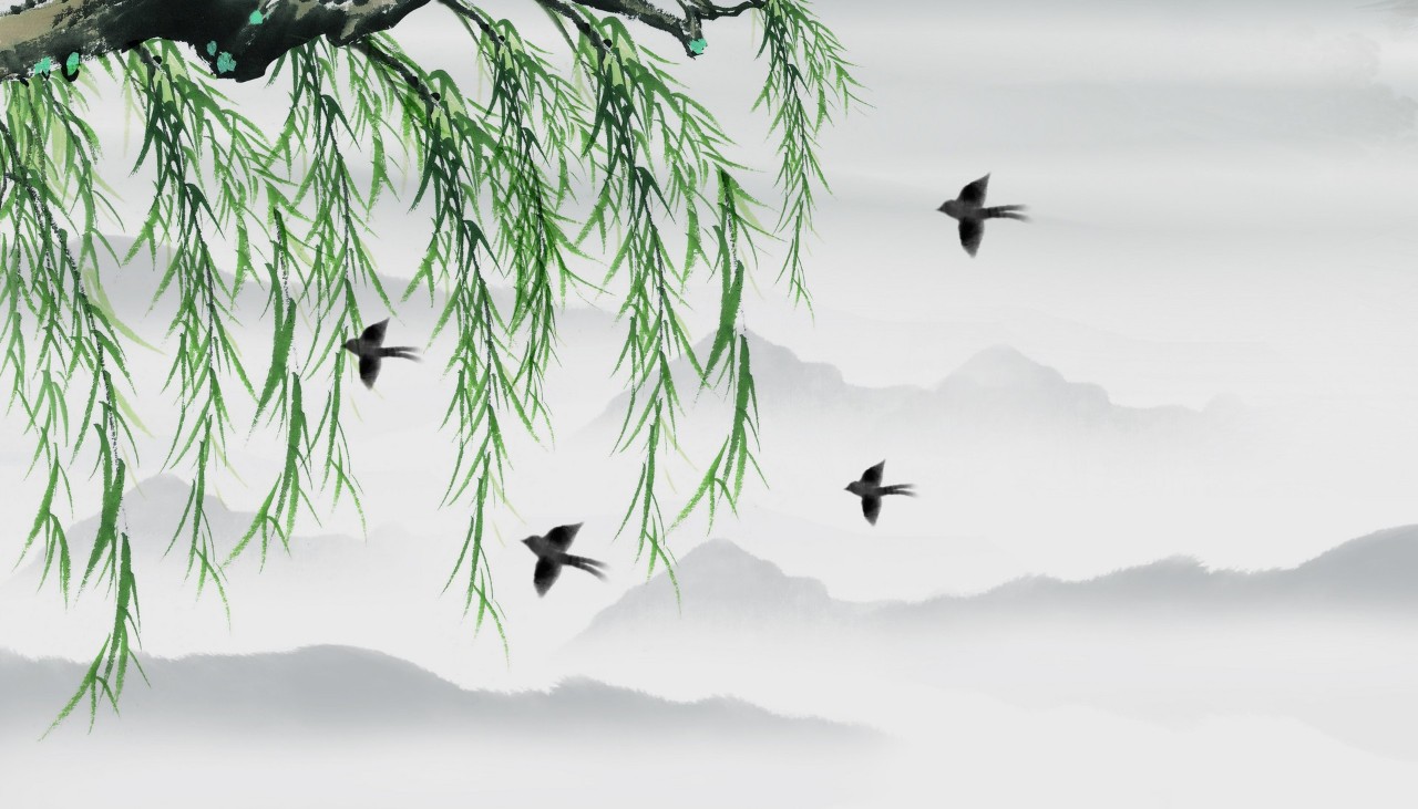 描写柳树的句子有哪些（关于柳树的句子摘抄）