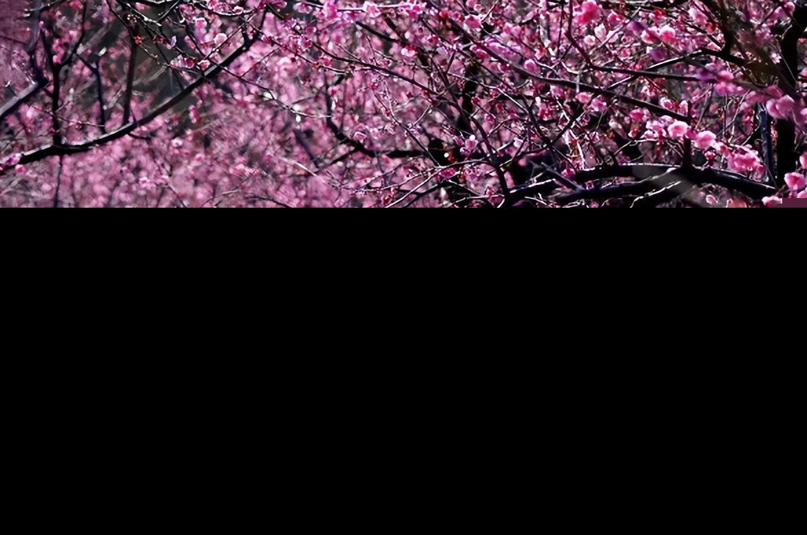 描写春的古诗词的诗句（形容春天来了的诗句）