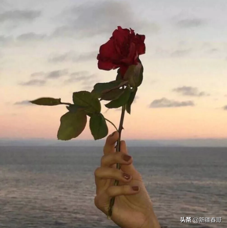 老婆祝福老公生日快乐的话（搞笑且幽默的生日祝福语）