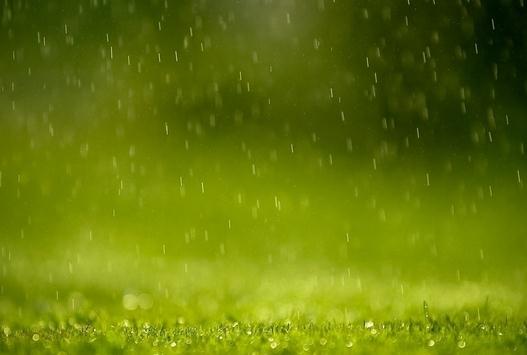 形容春雨的句子有哪些（描写春雨的优美短句大全）