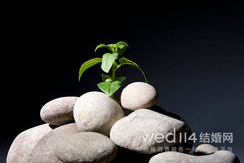 对婚姻失望想离婚说说图片（伤心欲绝的爱情说说）